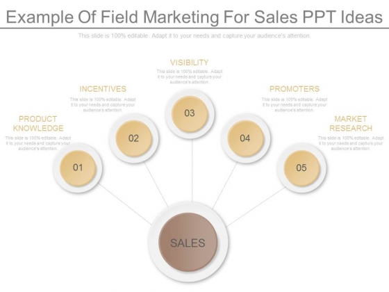 Example Of Field Marketing For Sales Ppt Ideas