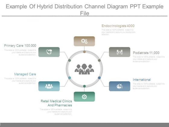 Example Of Hybrid Distribution Channel Diagram Ppt Example File