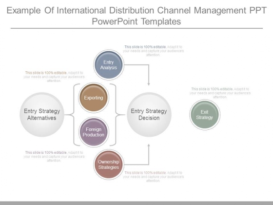 Example Of International Distribution Channel Management Ppt Powerpoint Templates