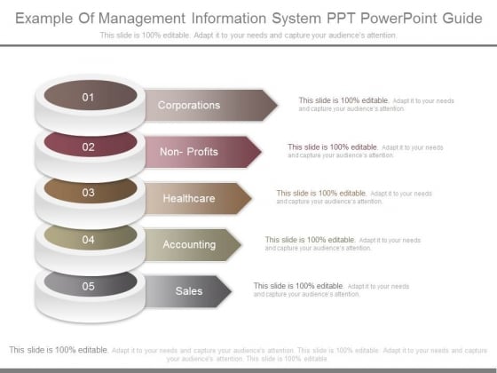 Example Of Management Information System Ppt Powerpoint Guide Example Of Management Information System Ppt Powerpoint Guide