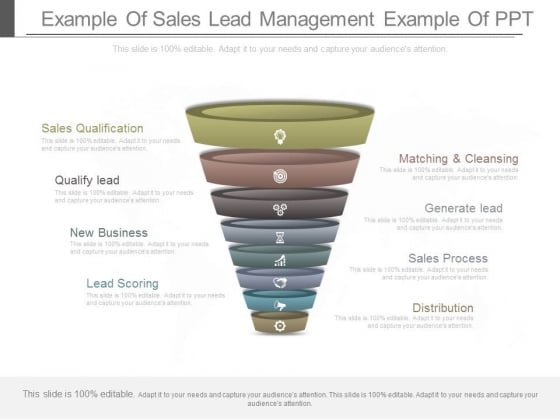 Example Of Sales Lead Management Example Of Ppt Example Of Sales Lead Management Example Of Ppt