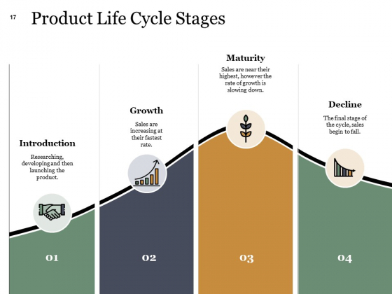 Example_Presentation_About_New_Product_Ppt_PowerPoint_Presentation_Complete_Deck_With_Slides_Slide_17