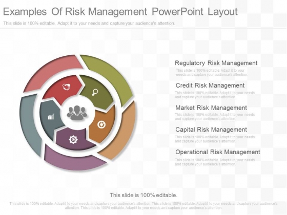 Examples Of Risk Management Powerpoint Layout Examples Of Risk Management Powerpoint Layout