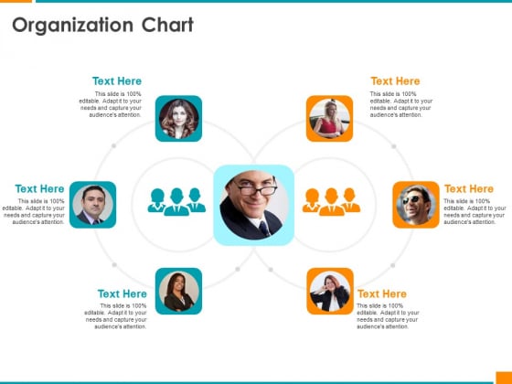 Executing Organization Commodity Strategy Organization Chart Designs PDF Executing Organization Commodity Strategy Organization Chart Designs PDF
