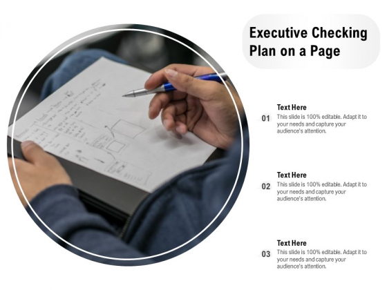 Executive Checking Plan On A Page Ppt PowerPoint Presentation Gallery Guide PDF