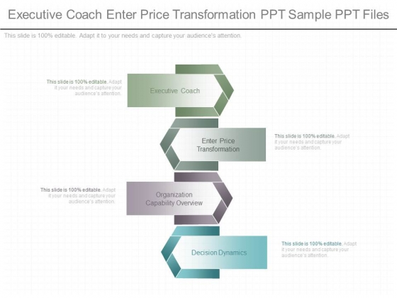 Executive Coach Enter Price Transformation Ppt Sample Ppt Files