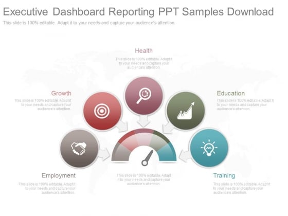 Executive Dashboard Reporting Ppt Samples Download Executive Dashboard Reporting Ppt Samples Download