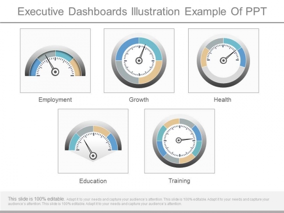 Executive Dashboards Illustration Example Of Ppt Executive Dashboards Illustration Example Of Ppt