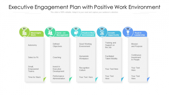 Executive Engagement Plan With Positive Work Environment Ppt Infographics Backgrounds PDF Executive Engagement Plan With Positive Work Environment Ppt Infographics Backgrounds PDF