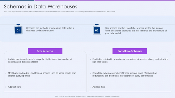 Executive Information Database System Schemas In Data Warehouses Graphics PDF