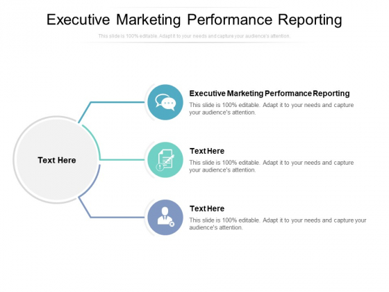Executive Marketing Performance Reporting Ppt PowerPoint Presentation Pictures Information Cpb