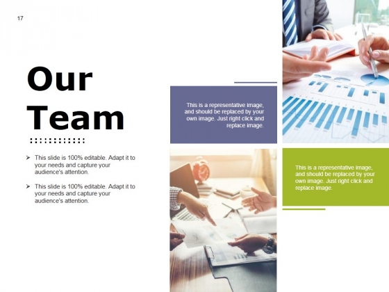 Executive_Overview_Ppt_PowerPoint_Presentation_Complete_Deck_With_Slides_Slide_17