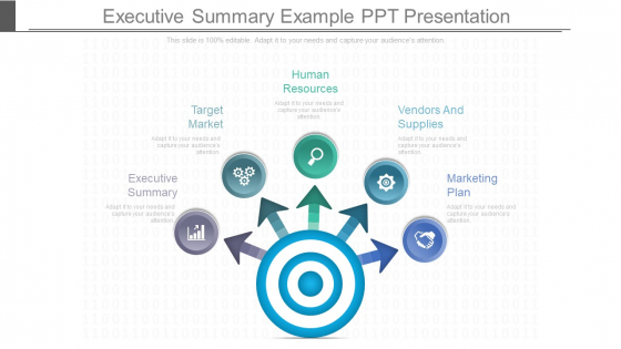 Executive Summary Example Ppt Presentation