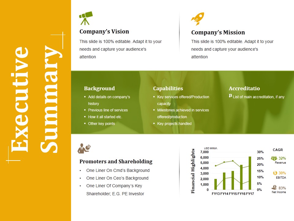 Executive Summary Ppt PowerPoint Presentation Professional Example ...