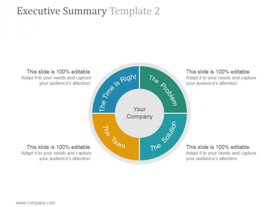 Executive Summary Template 2 Ppt PowerPoint Presentation Files