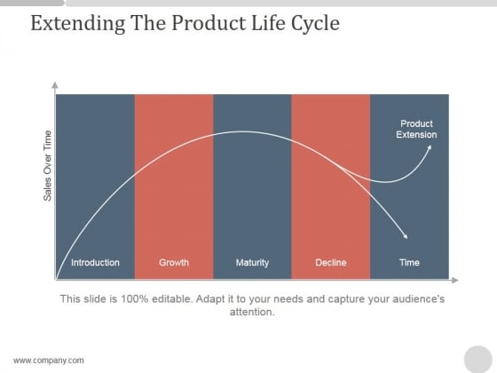 Extending The Product Life Cycle Ppt PowerPoint Presentation Professional