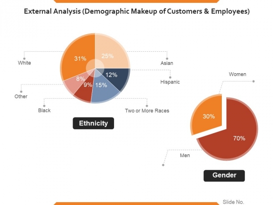 External Analysis Demographic Makeup Of Customers And Employees Ppt PowerPoint Presentation Slides Example