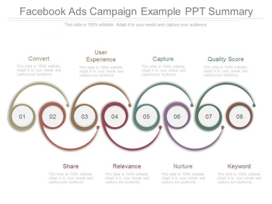 Facebook Ads Campaign Example Ppt Summary Facebook Ads Campaign Example Ppt Summary