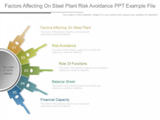 Factors Affecting On Steel Plant Risk Avoidance Ppt Example File