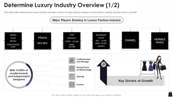 Farfetch Investor Financing Determine Luxury Industry Overview Industry Graphics PDF