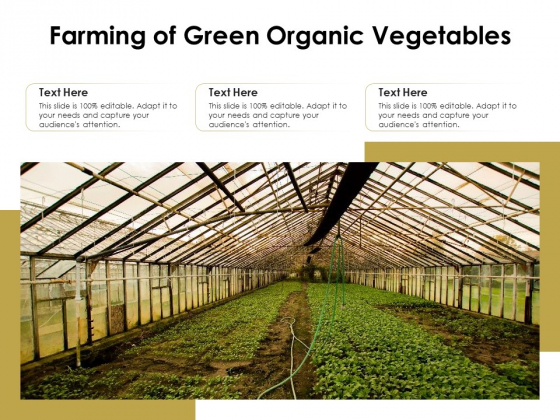 Farming Of Green Organic Vegetables Ppt PowerPoint Presentation Deck PDF Farming Of Green Organic Vegetables Ppt PowerPoint Presentation Deck PDF