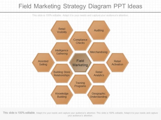 Field Marketing Strategy Diagram Ppt Ideas Field Marketing Strategy Diagram Ppt Ideas