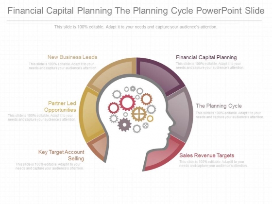 Financial Capital Planning The Planning Cycle Powerpoint Slide