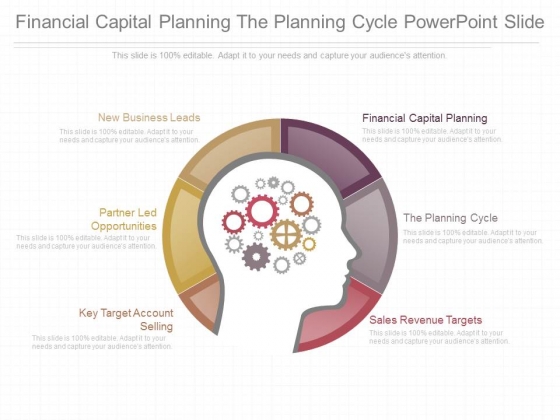 Financial Capital Planning The Planning Cycle Powerpoint Slide Financial Capital Planning The Planning Cycle Powerpoint Slide