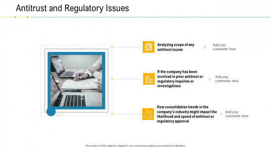 Financial Due Diligence For Business Organization Antitrust And Regulatory Issues Slides PDF Financial Due Diligence For Business Organization Antitrust And Regulatory Issues Slides PDF