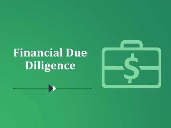 Financial Due Diligence Ppt PowerPoint Presentation Infographics Graphics Financial Due Diligence Ppt PowerPoint Presentation Infographics Graphics