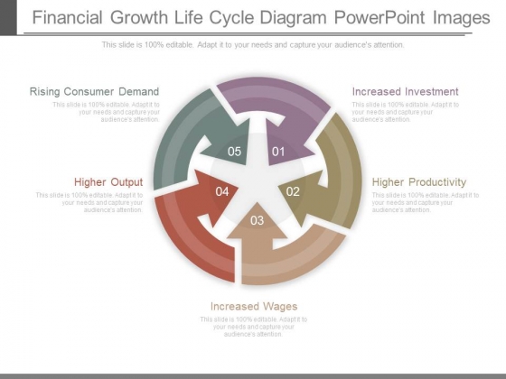 Financial Growth Life Cycle Diagram Powerpoint Images