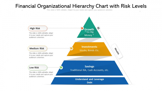 Financial Organizational Hierarchy Chart With Risk Levels Ppt PowerPoint Presentation Gallery Graphics Template PDF