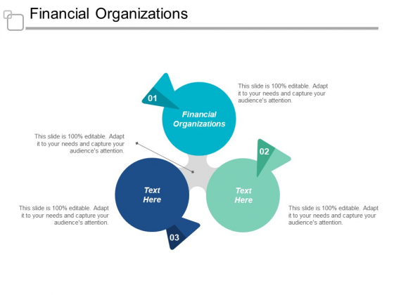 Financial Organizations Ppt PowerPoint Presentation Show Mockup Cpb