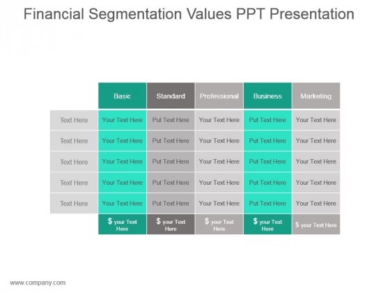 Financial Segmentation Values Ppt Presentation Financial Segmentation Values Ppt Presentation
