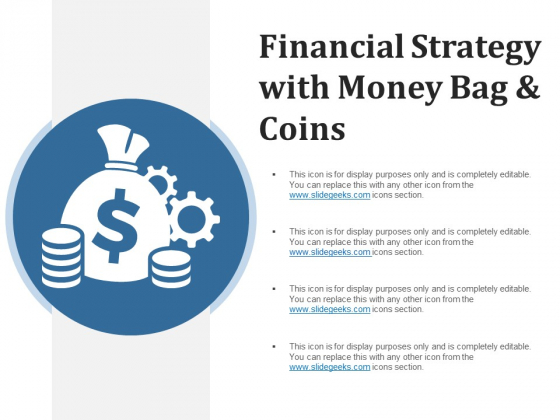 Financial Strategy With Money Bag And Coins Ppt PowerPoint Presentation Styles Format