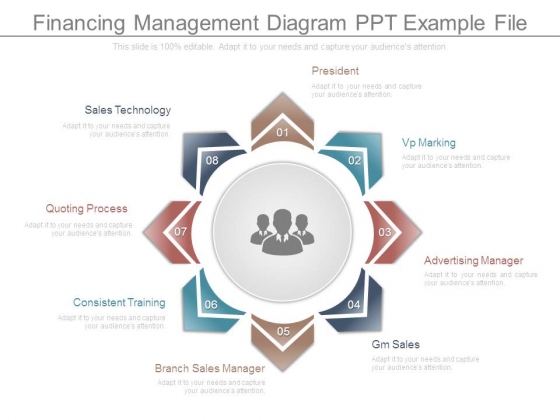 Financing Management Diagram Ppt Example File Financing Management Diagram Ppt Example File