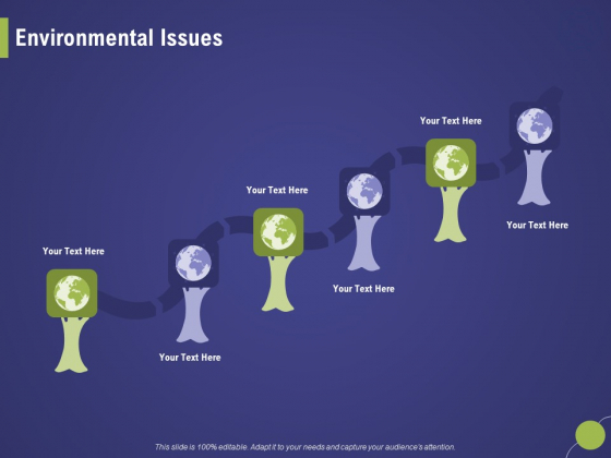 Firm Capability Assessment Environmental Issues Ppt Outline Show PDF Firm Capability Assessment Environmental Issues Ppt Outline Show PDF