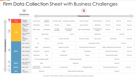 Firm Data Collection Sheet With Business Challenges Professional PDF