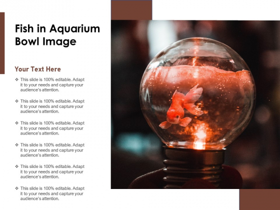 Fish In Aquarium Bowl Image Ppt PowerPoint Presentation Gallery Slides PDF