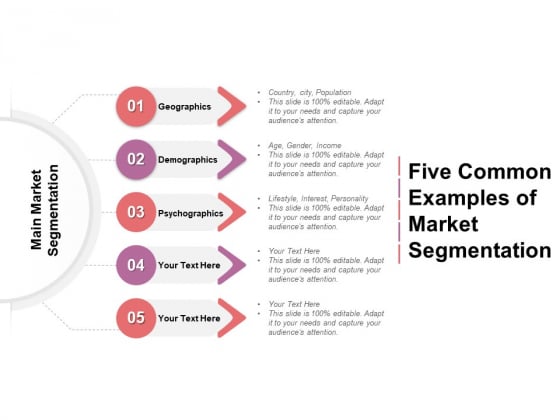 Five Common Examples Of Market Segmentation Ppt PowerPoint Presentation Professional Graphics Pictures PDF Five Common Examples Of Market Segmentation Ppt PowerPoint Presentation Professional Graphics Pictures PDF