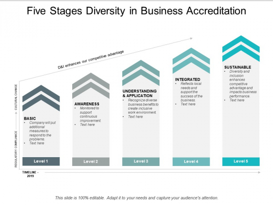 Five Stages Diversity In Business Accreditation Ppt Powerpoint Presentation Infographic Template Objects Five Stages Diversity In Business Accreditation Ppt Powerpoint Presentation Infographic Template Objects