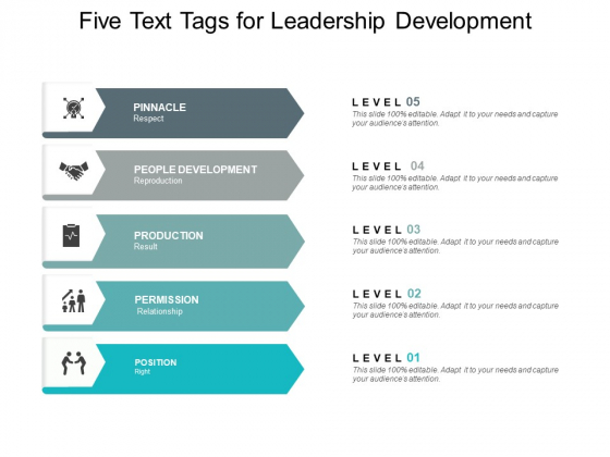 Five Text Tags For Leadership Development Ppt PowerPoint Presentation File Vector