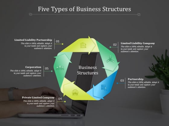 Five Types Of Business Structures Ppt PowerPoint Presentation Ideas Skills Five Types Of Business Structures Ppt PowerPoint Presentation Ideas Skills