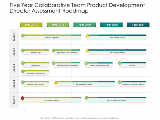 Five Year Collaborative Team Product Development Director Assessment Roadmap Infographics