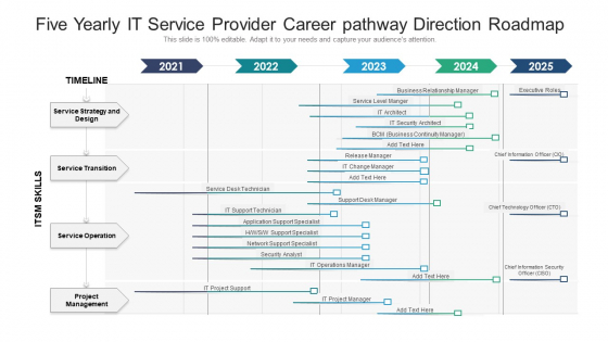 Five Yearly IT Service Provider Career Pathway Direction Roadmap Download