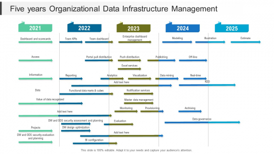 Five Years Organizational Data Infrastructure Management Template