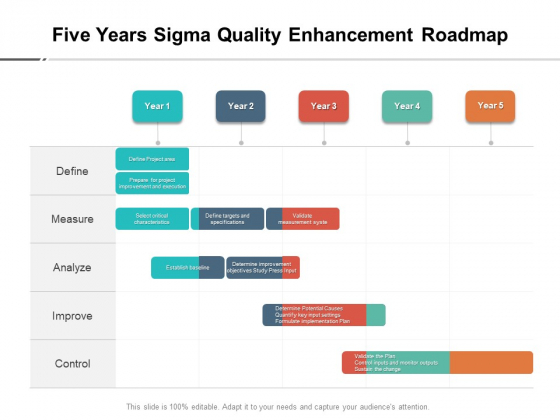 Five Years Sigma Quality Enhancement Roadmap Ideas
