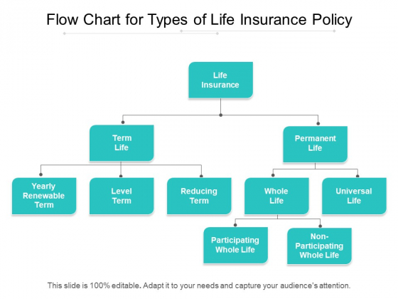 Flow Chart For Types Of Life Insurance Policy Ppt PowerPoint Presentation Summary Tips PDF