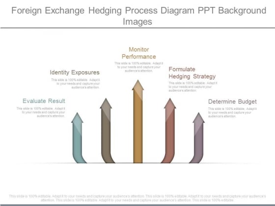 Foreign Exchange Hedging Process Diagram Ppt Background Images