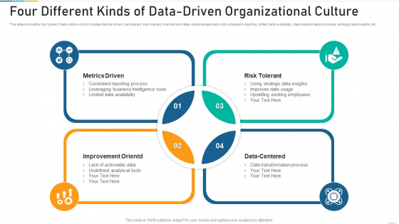 Four Different Kinds Of Data Driven Organizational Culture Inspiration PDF